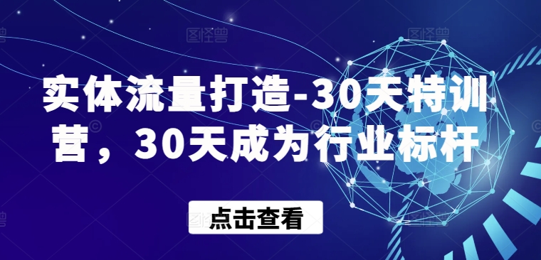 实体流量打造-30天特训营,30天成为行业标杆-古书籍