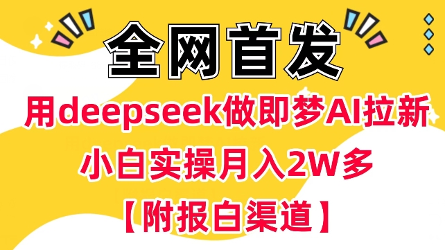 用deepseek做即梦Ai拉新 小白实操月入过W+【附报白渠道】-古书籍