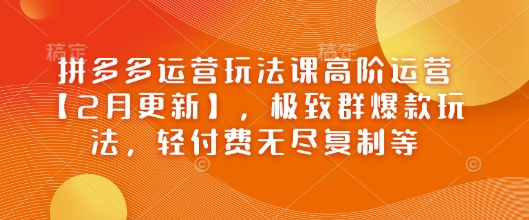 拼多多运营玩法课高阶运营【2月更新】，极致群爆款玩法，轻付费无尽复制等-古书籍