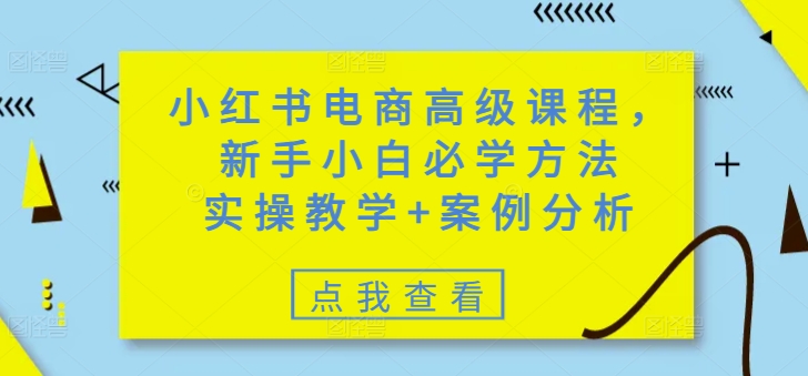 小红书电商高级课程，新手小白必学方法，实操教学+案例分析-古书籍